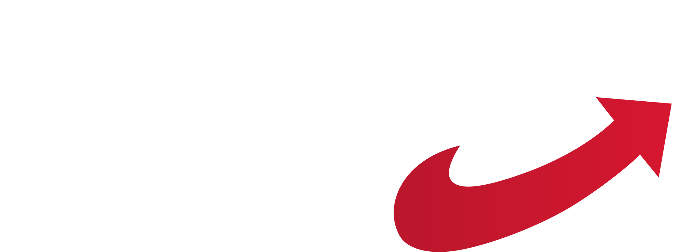 AfD Stadtverband Buxtehude